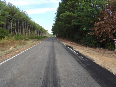 H & H Ranch, Amite County, MS - 54 Acres and Cabin for Sale - image 30