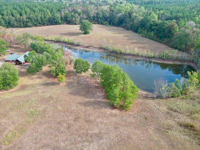 H & H Ranch, Amite County, MS - 54 Acres and Cabin for Sale - image 19