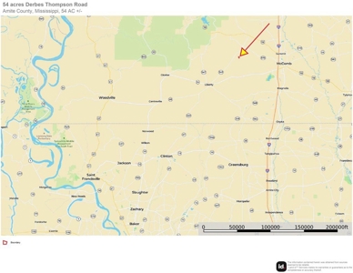 H & H Ranch, Amite County, MS - 54 Acres and Cabin for Sale - image 33