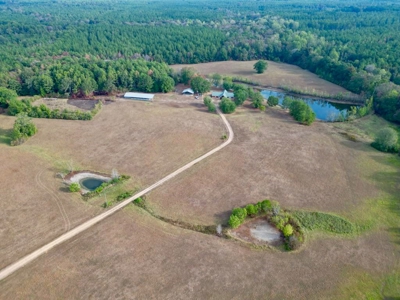 H & H Ranch, Amite County, MS - 54 Acres and Cabin for Sale - image 1