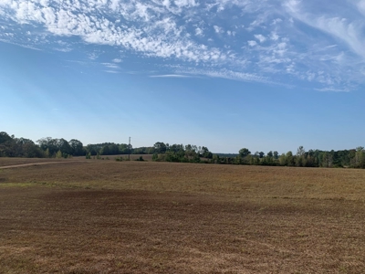 H & H Ranch, Amite County, MS - 54 Acres and Cabin for Sale - image 29
