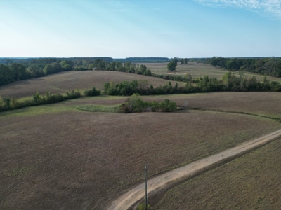 H & H Ranch, Amite County, MS - 54 Acres and Cabin for Sale - image 28