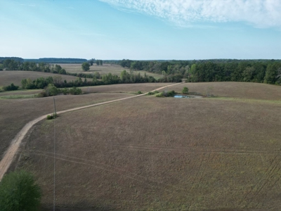 H & H Ranch, Amite County, MS - 54 Acres and Cabin for Sale - image 27