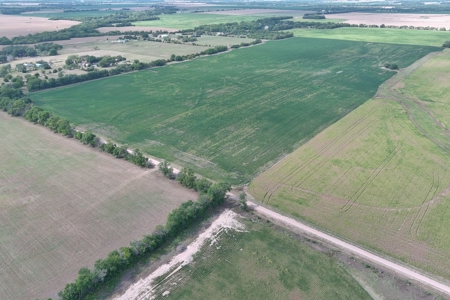 Kansas Land For Sale - Benton Kansas - image 6