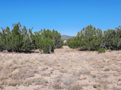 Stunning 37+ Acre Off Grid Property. - image 6