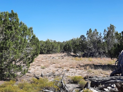 Stunning 37+ Acre Off Grid Property. - image 5