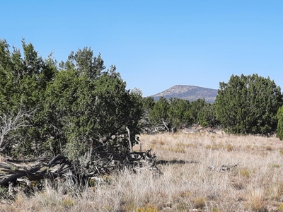 Stunning 37+ Acre Off Grid Property. - image 8