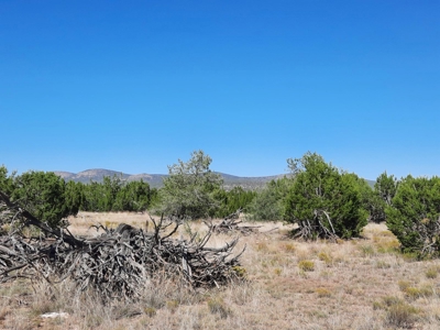 Stunning 37+ Acre Off Grid Property. - image 10