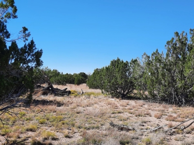 Stunning 37+ Acre Off Grid Property. - image 4