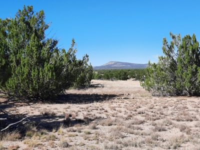 Stunning 37+ Acre Off Grid Property. - image 11