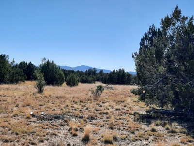 Stunning 37+ Acre Off Grid Property. - image 2