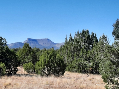 Stunning 37+ Acre Off Grid Property. - image 1