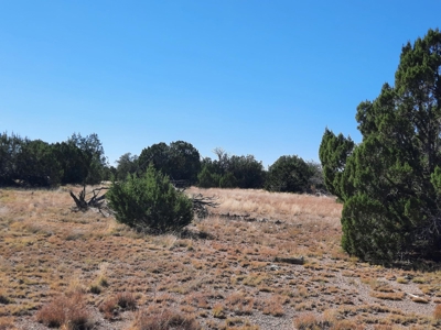 Stunning 37+ Acre Off Grid Property. - image 12