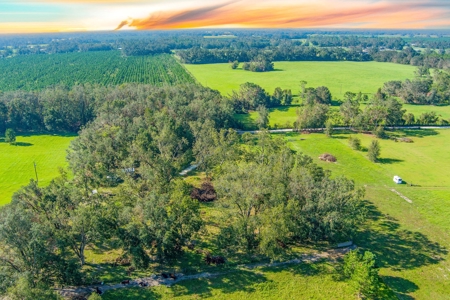 40 Acres with Power, Septic, and Water! - image 3