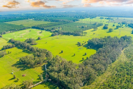 40 Acres with Power, Septic, and Water! - image 6