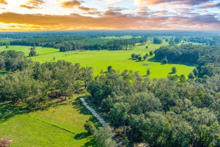 40 Acres with Power, Septic, and Water! - image 4