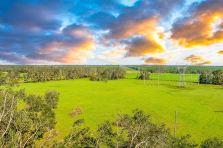 40 Acres with Power, Septic, and Water! - image 5