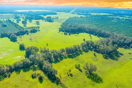 40 Acres with Power, Septic, and Water! - image 2