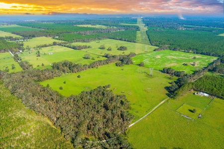 40 Acres with Power, Septic, and Water! - image 7