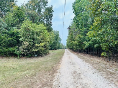 Land For Sale In Ozark Mountains Of North Central Arkansas - image 21
