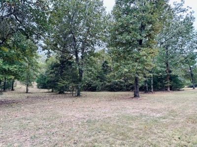 Land For Sale In Ozark Mountains Of North Central Arkansas - image 23