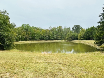 Land For Sale In Ozark Mountains Of North Central Arkansas - image 24