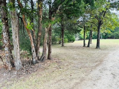 Land For Sale In Ozark Mountains Of North Central Arkansas - image 3