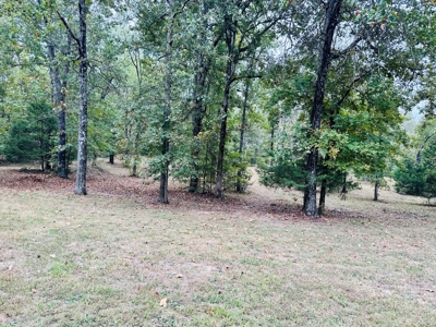Land For Sale In Ozark Mountains Of North Central Arkansas - image 22