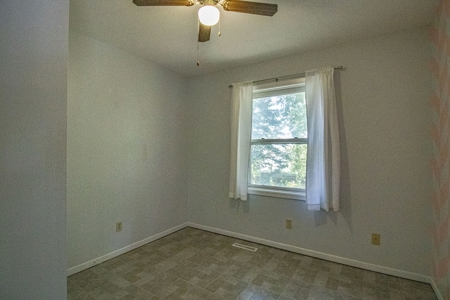 Springville Iowa Home for Sale - image 6