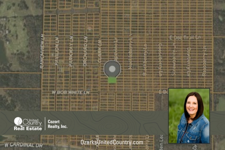 Land for Sale in Horseshoe Bend, Arkansas - image 1