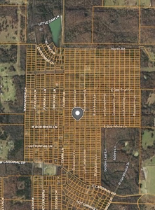 Land for Sale in Horseshoe Bend, Arkansas - image 2