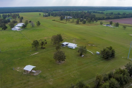 Aviation Home & 2 Hangars For Sale in Jasper, FL - image 13
