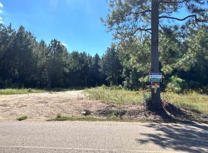 Young Pine Land W/ Utilities on Road near El Dorado, AR - image 2