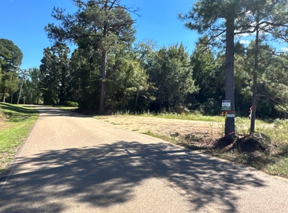 Young Pine Land W/ Utilities on Road near El Dorado, AR - image 1