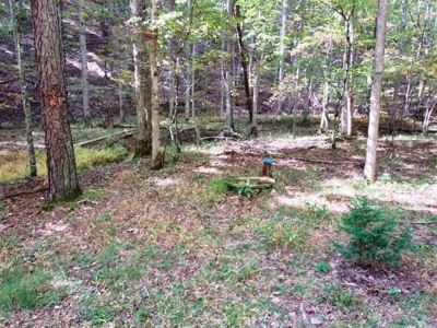 Hunting Cabin For Sale In Wythe County VA - image 20