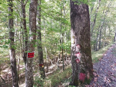 Hunting Cabin For Sale In Wythe County VA - image 1
