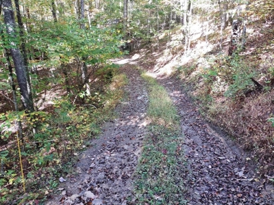 Hunting Cabin For Sale In Wythe County VA - image 9