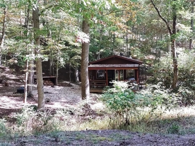 Hunting Cabin For Sale In Wythe County VA - image 22