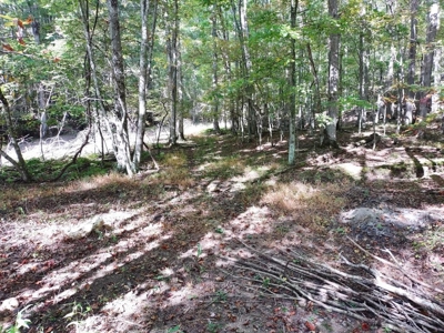 Hunting Cabin For Sale In Wythe County VA - image 17