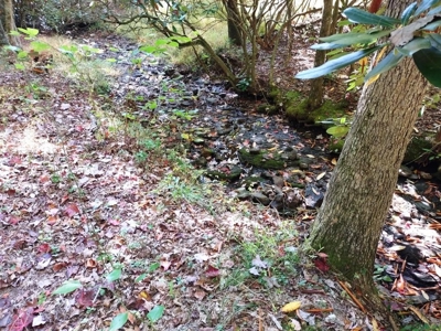 Hunting Cabin For Sale In Wythe County VA - image 15