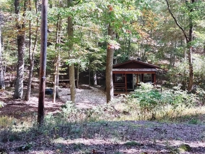 Hunting Cabin For Sale In Wythe County VA - image 21