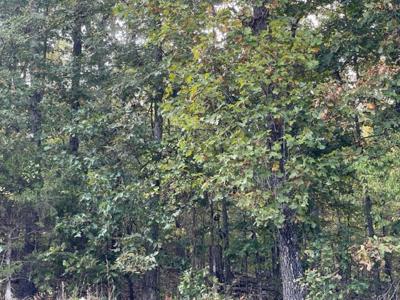 Lakefront Acreage For Sale in Fulton County, Arkansas - image 7