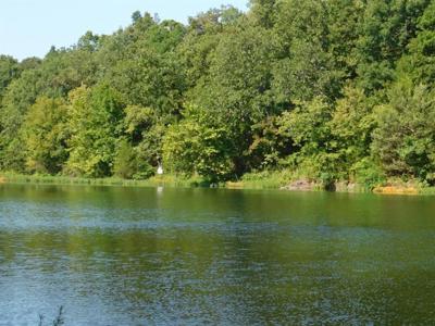 Lakefront Acreage For Sale in Fulton County, Arkansas - image 1