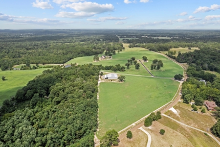 Land For Sale Near Tyler, Texas - image 3