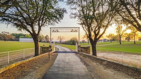 Land For Sale Near Tyler, Texas - image 10