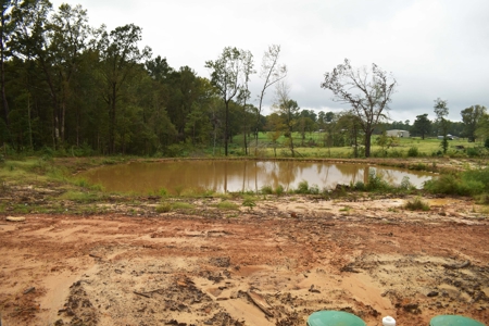 Home For Sale with Acreage in Atlanta, Texas - image 2