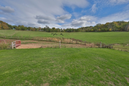 Log Home with Farm for Sale in Southwest Wisconsin - image 34