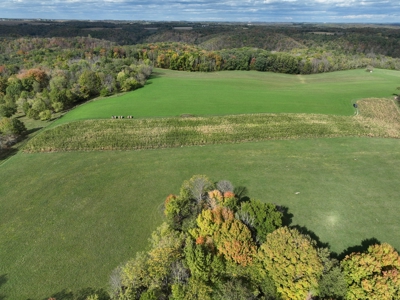 Log Home with Farm for Sale in Southwest Wisconsin - image 27