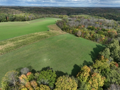 Log Home with Farm for Sale in Southwest Wisconsin - image 26