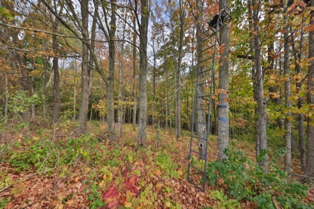 Log Home with Farm for Sale in Southwest Wisconsin - image 37